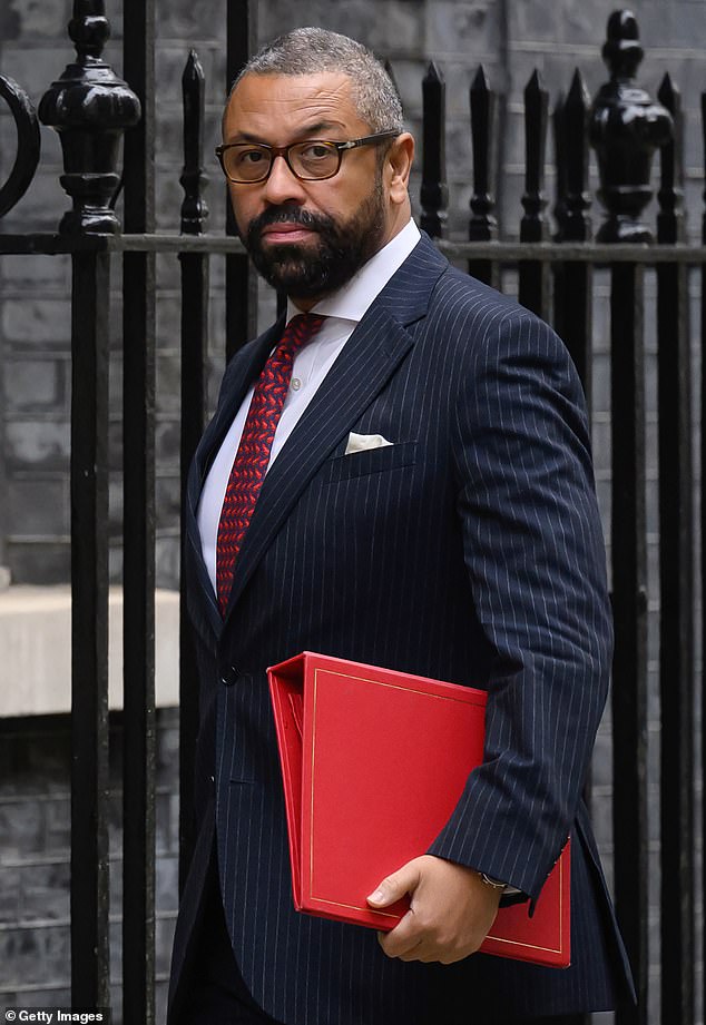 Conservative shadow Housing Secretary, James Cleverly (pictured), said Ms Ali ought to consider her position as the allegations 'would be an example of the most extreme hypocrisy and she should not have the job as homelessness minister'