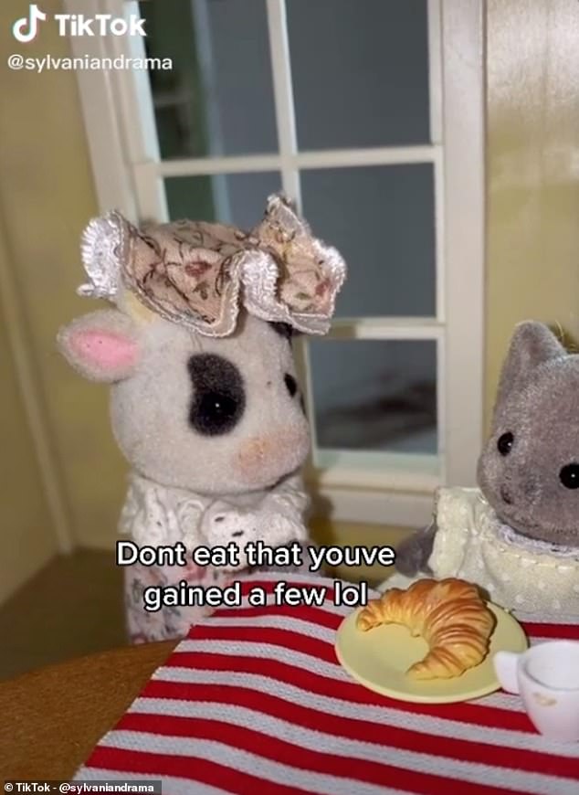 The viral clips of Sylvanian families drinking, dealing drugs, arguing and cheating on their partners have become fan favourites on TikTok but they could be taken down by a toy company