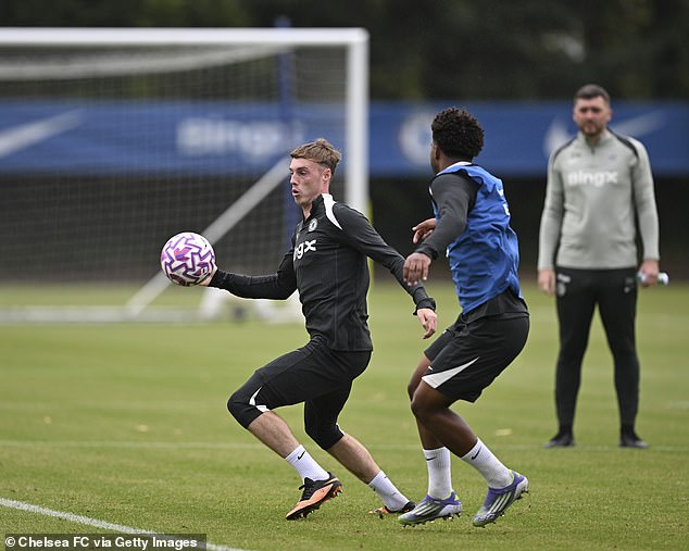Chelsea are mystified after £30,000 worth of equipment disappeared from their Cobham HQ