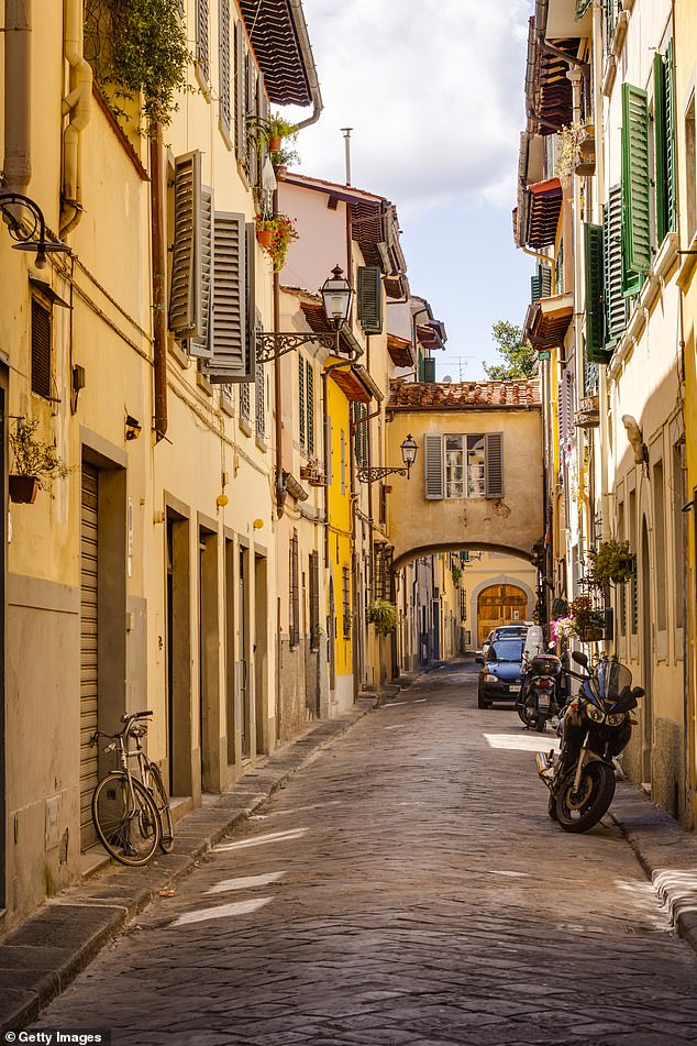 Monica Rocchini, the president of a local hoteliers' association, told local media: 'We currently have a room occupancy rate of around 50%' (File image of Florence)