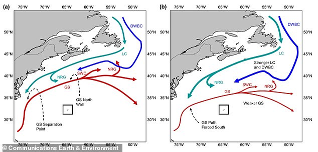One fingerprint of Amoc change is the position of the Gulf Stream (GS). When the AMOC weakens, the Gulf Stream moves northward, crossing the Atlantic at higher latitudes