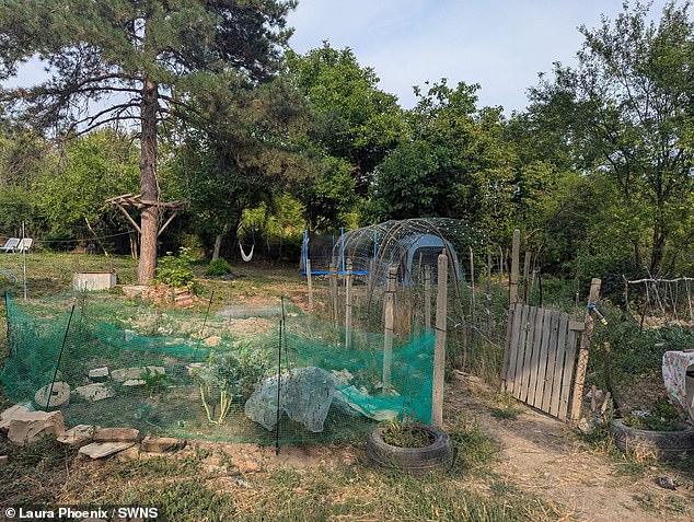 Mr and Mrs Phoenix grow their own crops in a sprawling garden space (pictured)