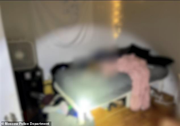 One of the newly-released images shows a pink blanket draped on a bed, a large part of which has been blurred