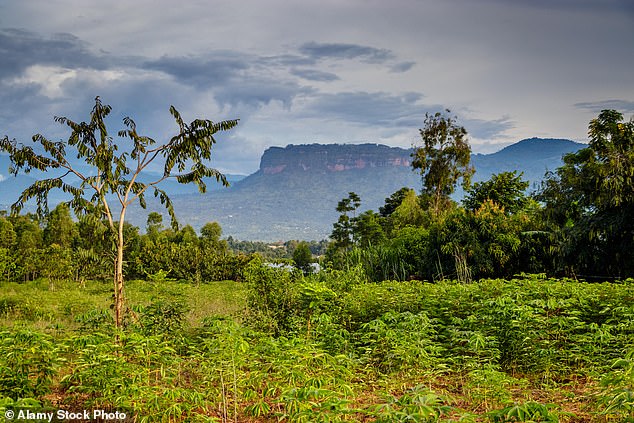 Labour politicians in Wales are spending more than £4million of taxpayers' money ¿ in Uganda. Pictured: Mbale, where a tree-planting project has been supported since 2013