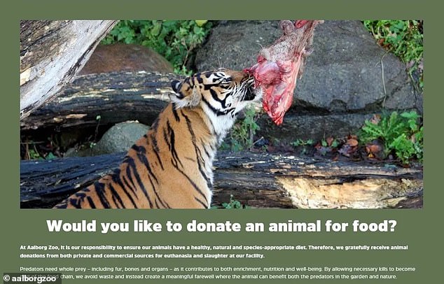 The Aalborg Zoo, home to more than 1,500 animals representing 126 species, said of its food drive that it was trying to imitate the 'natural food chain' of the animals