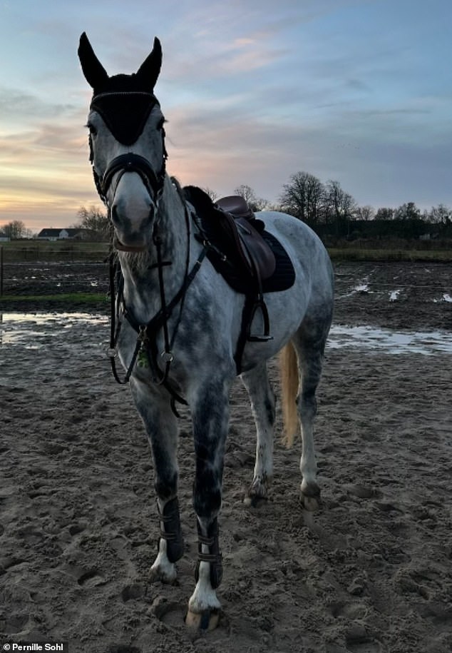 Since the zoo launched its appeal to pet owners, encouraging them to donate their animals as food for its predators, it's seen 22 horses, 137 rabbits, 53 chickens and 18 guinea pigs donated
