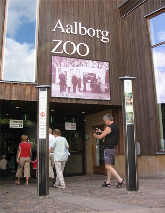 Zookeepers are on hand to stroke and kiss the horses and the Ms Sohl said it felt like she was able to say a proper goodbye (Aalborg zoo pictured)