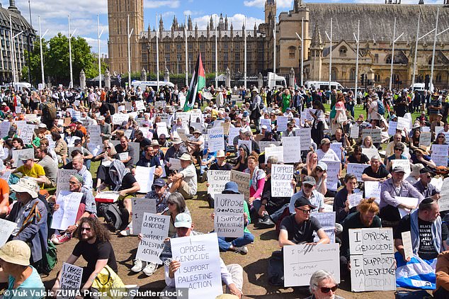 Militant protesters were accused of a 'colossal' waste of millions of pounds of taxpayers' money after more than 360 deliberately forced police to arrest them by brandishing signs supporting the outlawed group Palestine Action during Saturday's rally (pictured)