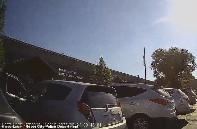 The child was found inside a silver Chevy sedan (pictured) dripping in sweat and acting 'sluggish' after his mother, Eliana Suaza Argote, 34, allegedly left him in there