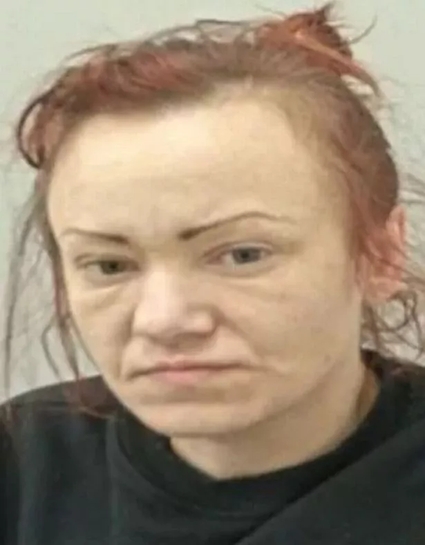 Sarah Healey