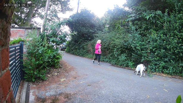 CCTV footage of Anita walking her dog before she was murdered