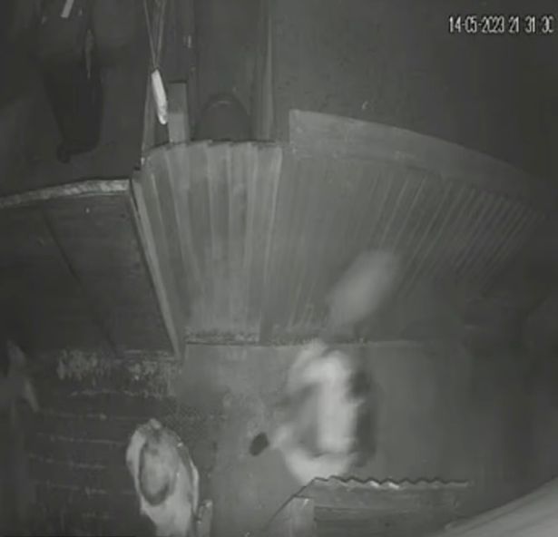 CCTV shows Lloyd, a mum of three, beat the young man over the head