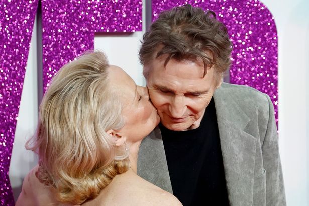 Liam Neeson's sister-in-law approves of Pamela Anderson romance