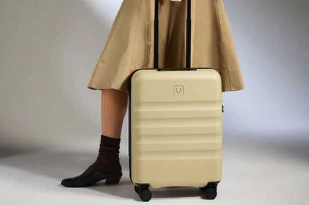 Antler cabin bag