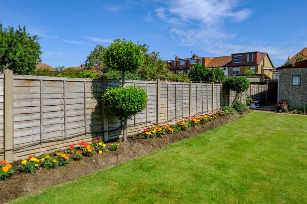 Back garden tidy flower bed with fence