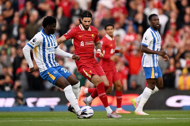 Carlos Baleba of Brighton & Hove Albion controls the ball under pressure from Dominik Szoboszlai of Liverpool