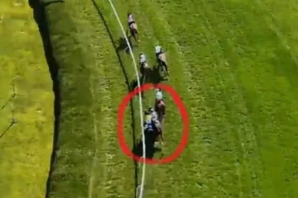 Luther (circled) was hampered in the Grade Two National Museum of Racing Hall of Fame Stakes at Saratoga