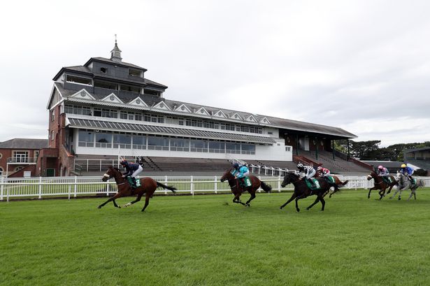 Newsboy's Nap runs at Thirsk