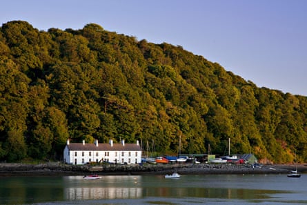 Boats moored in front of a wooded hill