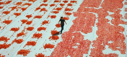 One of Those Days When Hemme Dies, a film influenced by Umut.