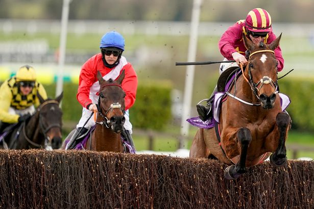 Minella Indo (right) leads over the last from stablemate A Plus Tard in the Gold Cup