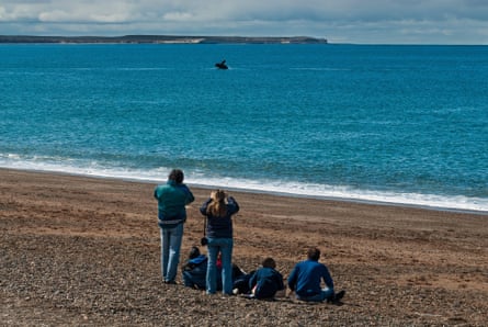 Six people on an empty beach watch a whale jumping offshore