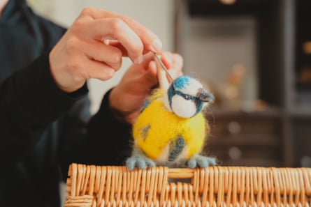 Hello Birds, Edinburgh 2025