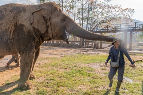 A woman laughs as an elephant wraps its trunk around her neck