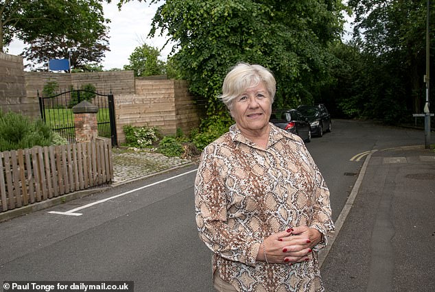 Helena Warner, 73, who lives across the road, said: 'If the Council thought what was there before was acceptable and this is not, then they need their heads testing'