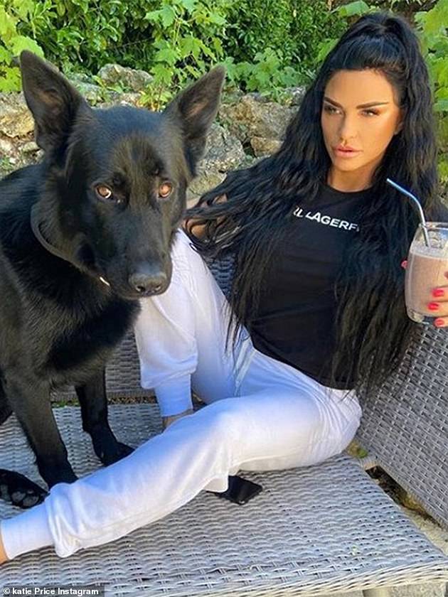Katie's treatment of animals has come under scrutiny after five dogs, a horse, and a chameleon all died while in her care - many of them in traffic accidents near her home in Sussex