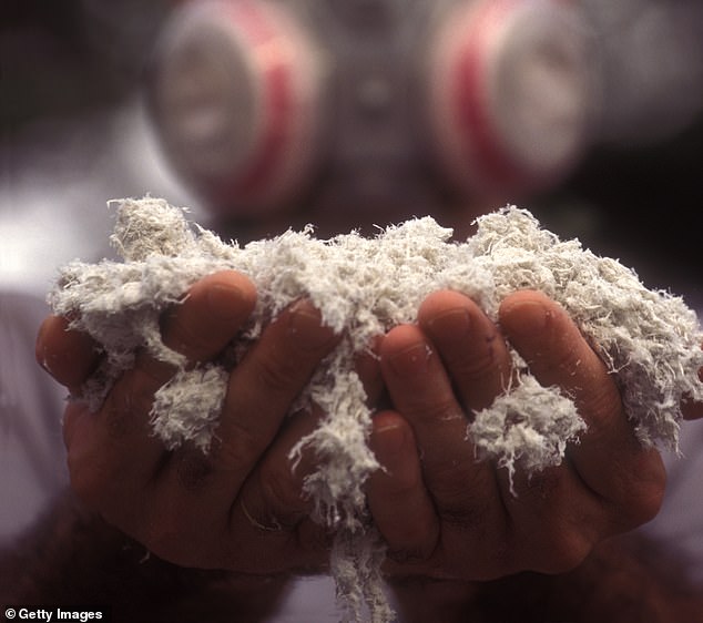 Former service personnel could be up to ten times more likely to develop an asbestos-related disease than the general public, says the British Occupational Hygiene Society, which campaigns for workplace safety. Pictured: Asbestos fibres