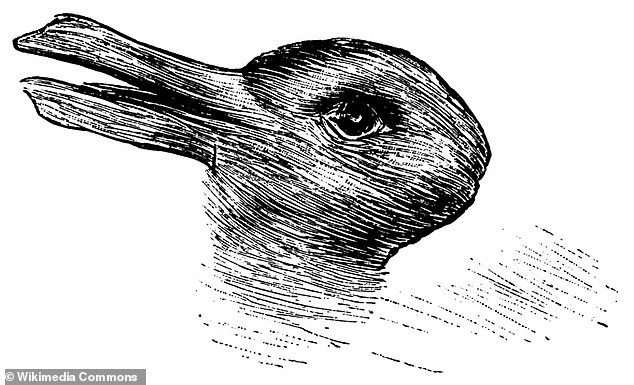 Ever since it was published in 1892, the rabbit-duck illusion has been perplexing viewers with its remarkable ability to shapeshift. Does it show a rabbit and then a duck, a duck and then a rabbit, only one of the two, or neither of them?
