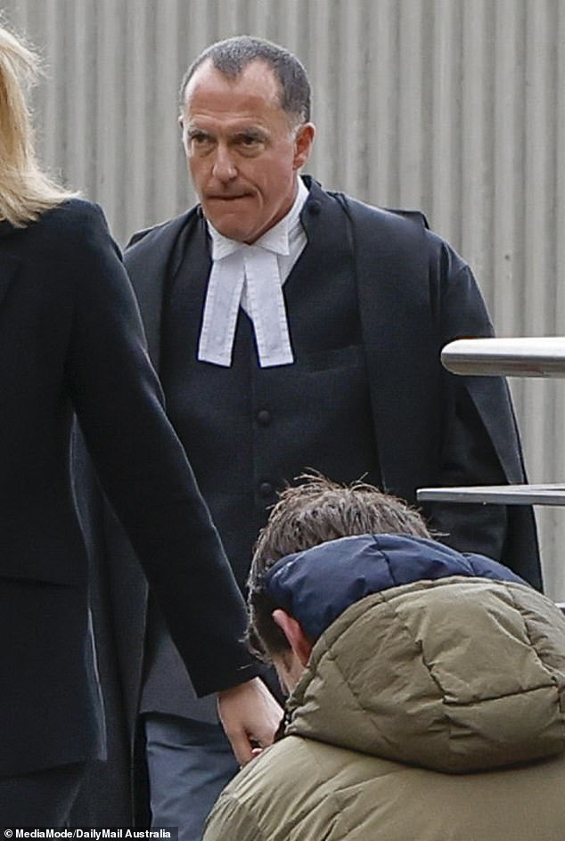 Erin Patterson's barrister Colin Mandy SC managed to get attempted murder charges against his client withdrawn