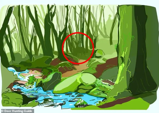 The deer can be seen circled on the dirt road, blending in with the foliage