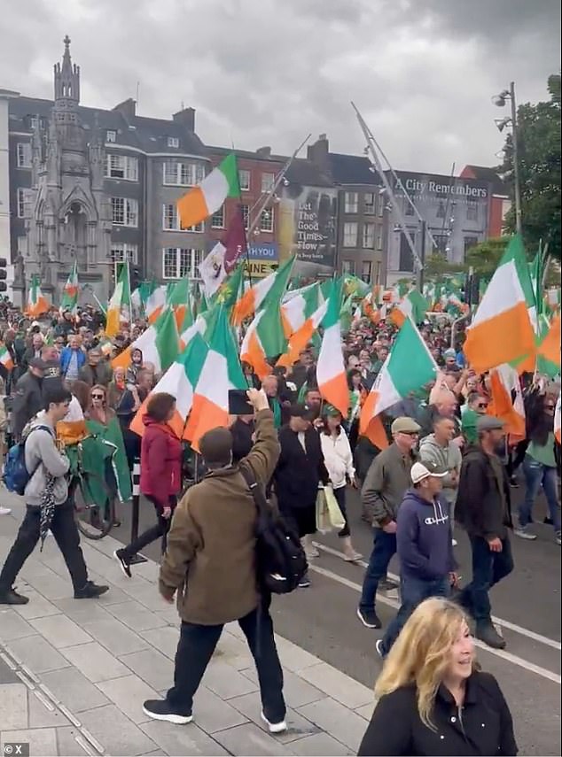 Pictured: In May, 3,000 people joined an anti-immigration rally organised by Ireland Says No - which attendees said signalled a feeling in the country that 'enough is enough'