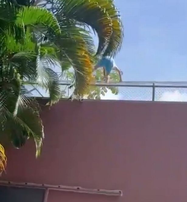 Six metre wall into lioness enclosure