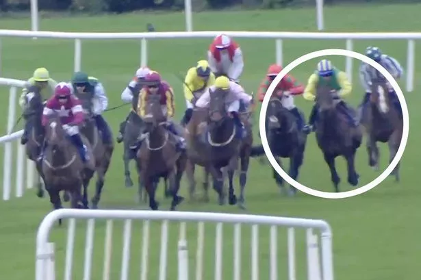 Young Rebel (circled) charged down the outside in the straight