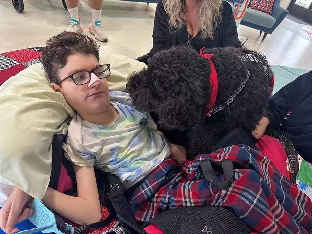 Felix uses Lifelites tech to engage with the world