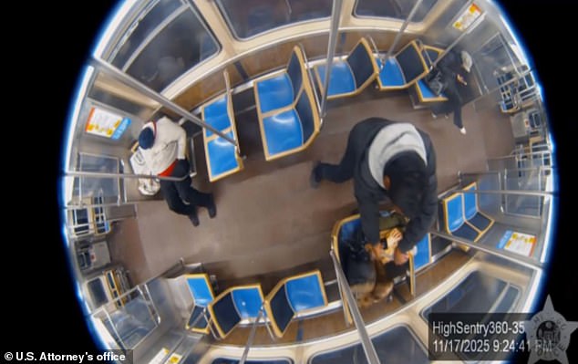 Surveillance footage shows the attack on MaGee.  A conservative commentator wrote an opinion piece and believes her attack would receive more attention if the 'races were reversed'