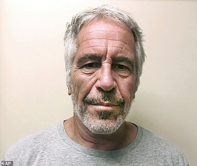 Documents released earlier this month reveal that the woman emailed Epstein a supportive message after he was arrested in July 2019