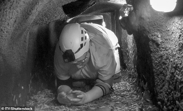 But the actress was showered in thousands of insects as she tried to identify the correct needed crystals