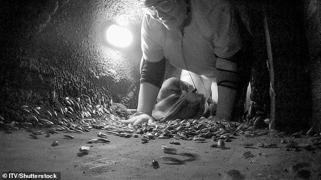 After being voted for by the public, the soap star, 49, faced rats, spiders, mealworms and green ants in the underground abandoned diamond mine