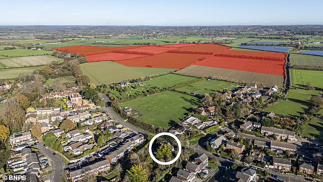 The picturesque fields surrounding the 18th-century house (circled) are set to be carpeted with 100,000 solar panels