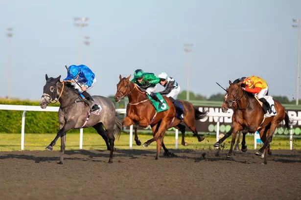 Kempton Park hosts a nine-race all-weather Flat meeting on Monday where Newsboy’s nap, Chancellor, is fancied to win the 3.27