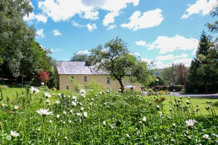 Exterior garden at the Ty-Mawr