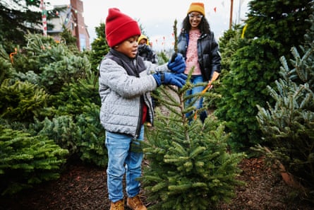 Wide shot of young boy choosing a Christmas tree
