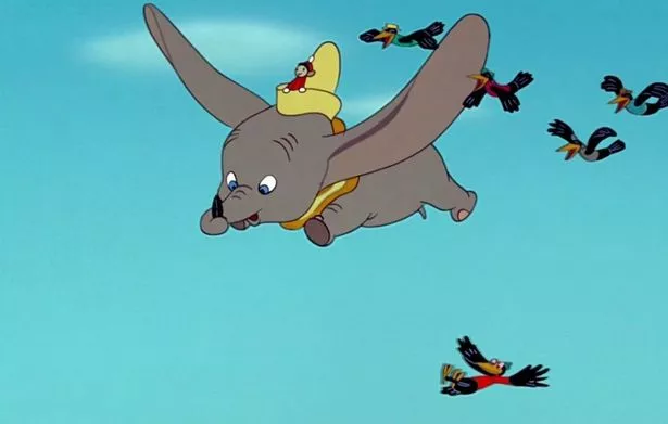 Dumbo