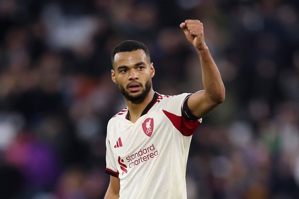 Cody Gakpo during a Liverpool game