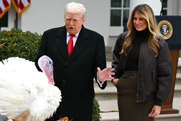 Trump managed to fit pardoning a Thanksgiving turkey into his schedule
