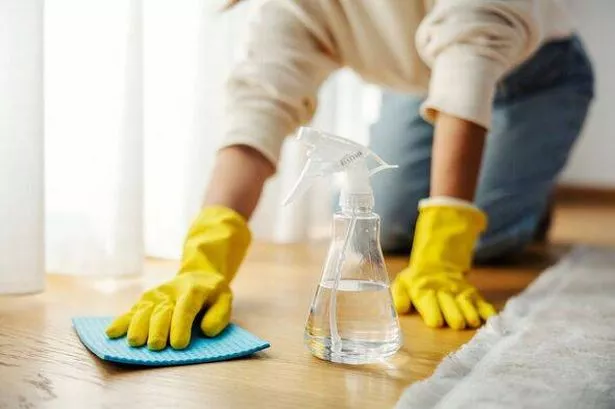 Woman cleaning floor with spray bottle and cloth